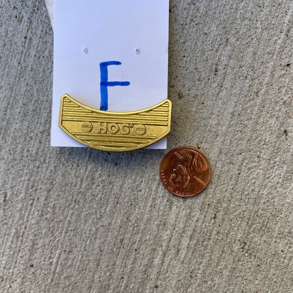 HOG Harley Davidson Owners Group Pin Rocker Badge Wings 2021 - Picture 4 of 5